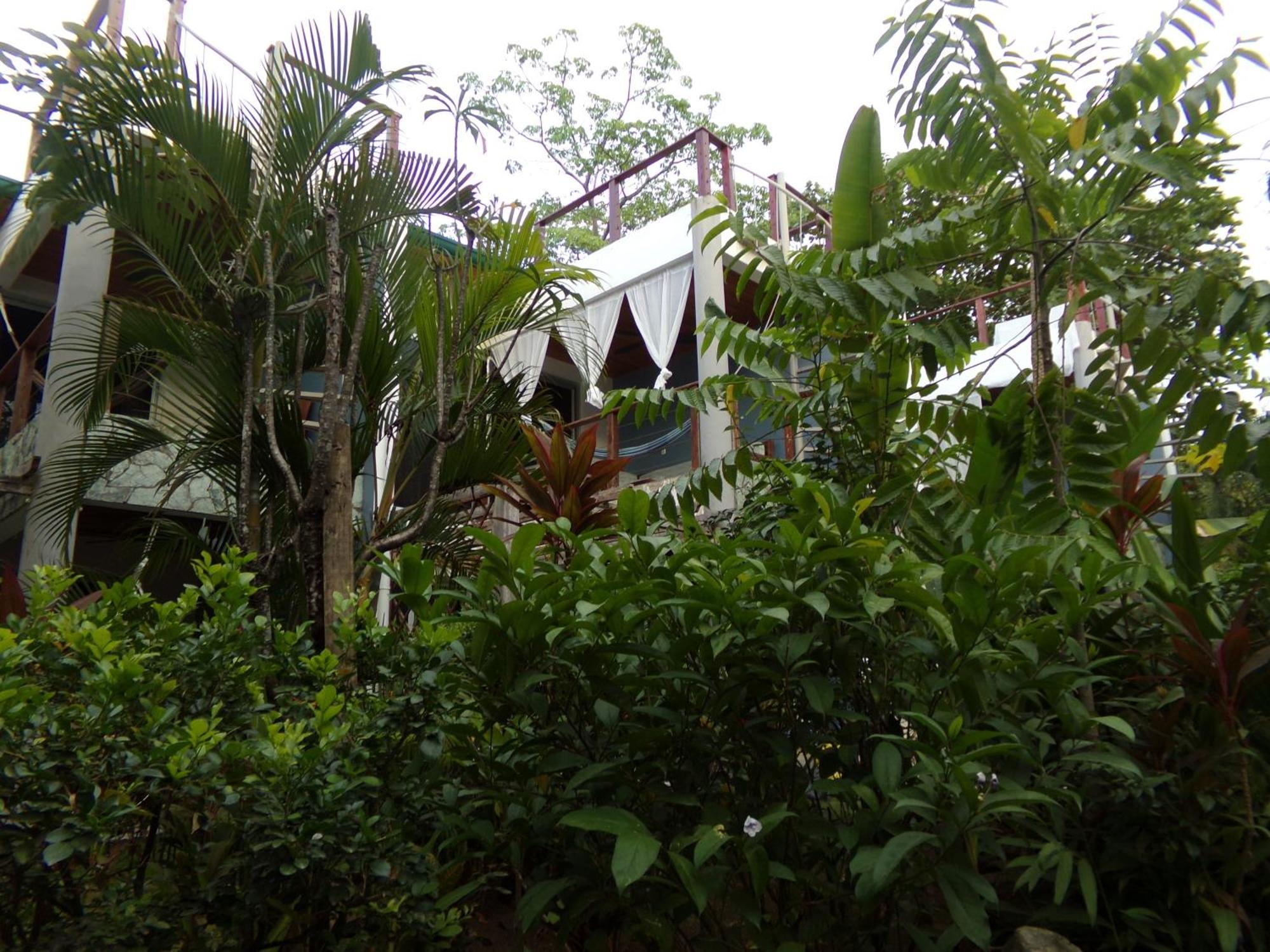 Iluminar Beachfront Suites Nosara Ngoại thất bức ảnh